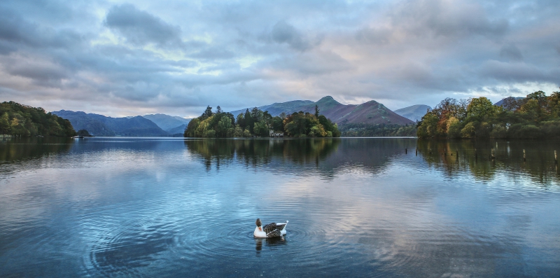 Windemere View.jpg